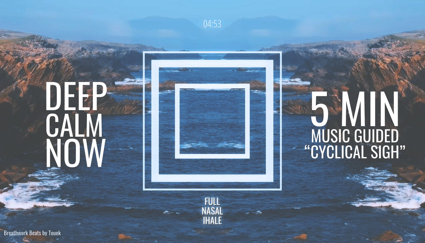 The Most Efficient Breathing Exercise for Immediate Stress Relief | 5-Minute Cyclical Sigh