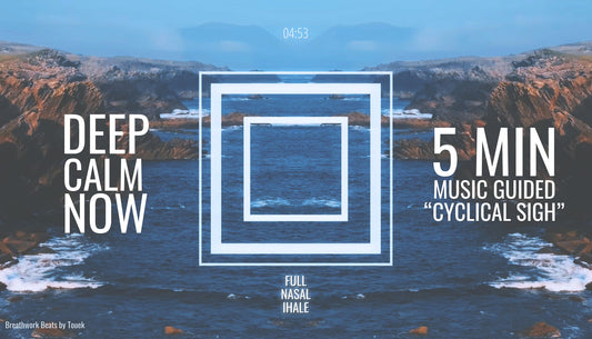 The Most Efficient Breathing Exercise for Immediate Stress Relief | 5-Minute Cyclical Sigh